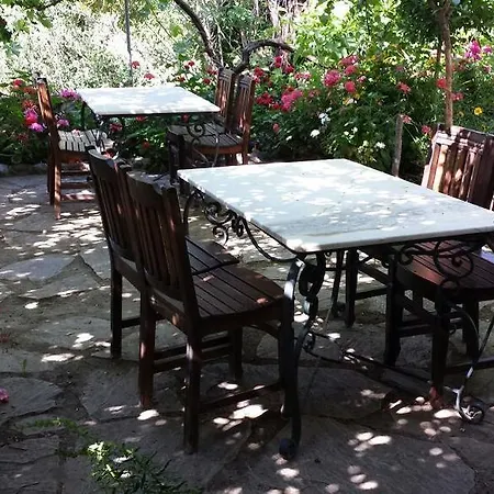 Hoppala B&B 닷차