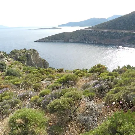 Frühstückspension Hoppala 3*