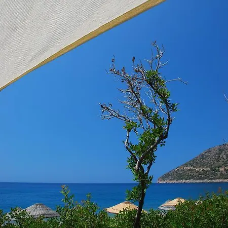 Bed & Breakfast Hoppala Datça