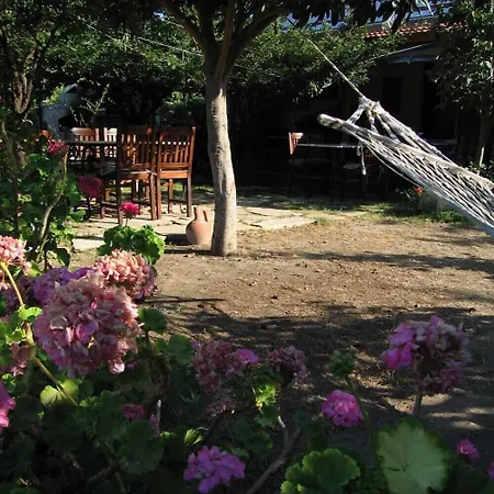 Bed & Breakfast Hoppala Datça