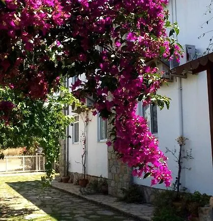 Bed & Breakfast Hoppala 3*