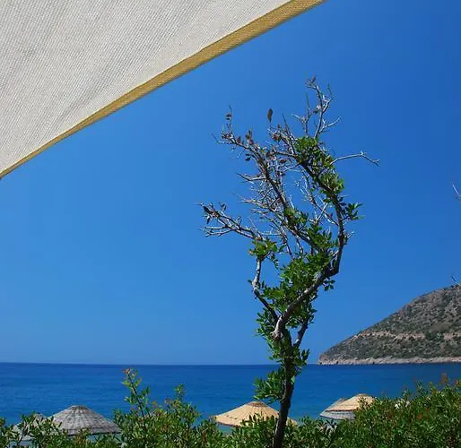 Alojamento de Acomodação e Pequeno-almoço Hoppala Datça