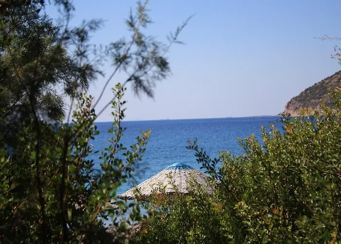 Alojamento de Acomodação e Pequeno-almoço Hoppala