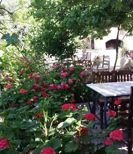 Alojamento de Acomodação e Pequeno-almoço Hoppala Datça